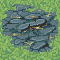 Enriched Ore Deposit