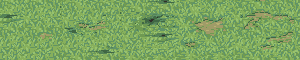 Plains