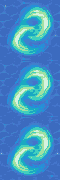 Reef